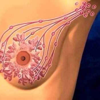 Bodywork for Women's Health: Breast Massage for Healthy Breasts: Corvallis, OR